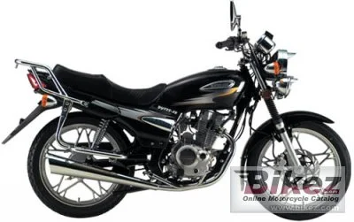 Dayang DY125 13.34.1 2008