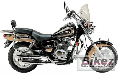 Dayang DY125 27.12 2009 1