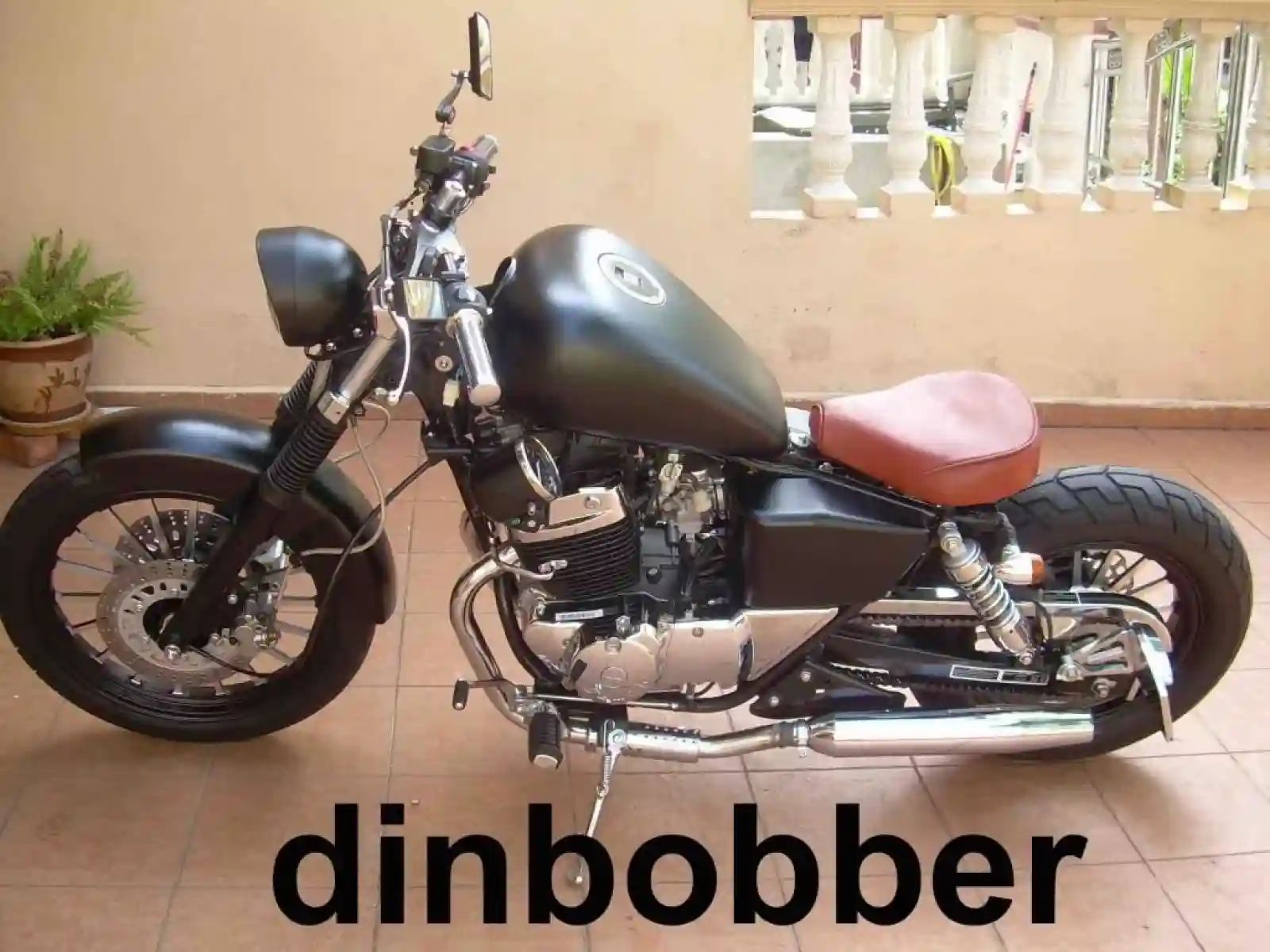 Demak Cougar 2011
