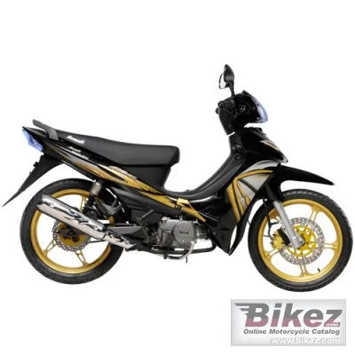 Demak MS 2011