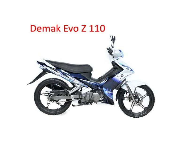 Demak MV 2011