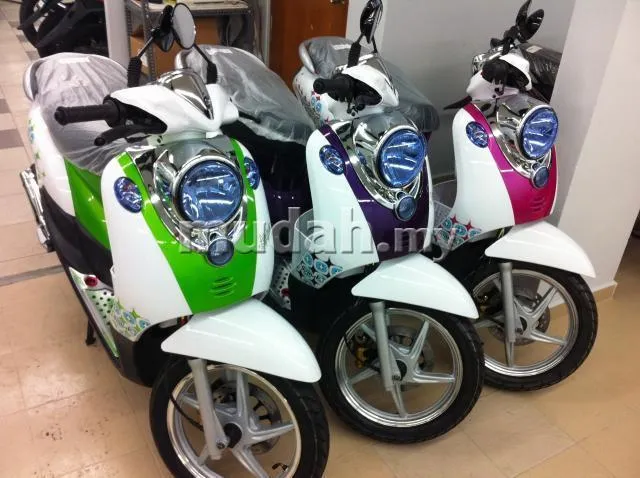 Demak Rino S 2011