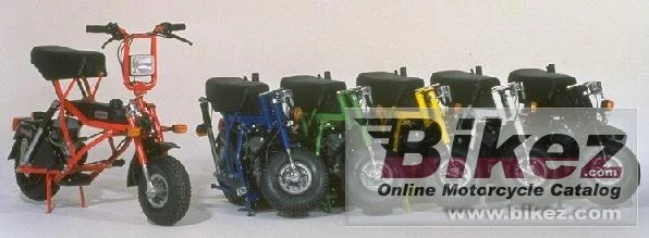Di Blasi Express 50 2013