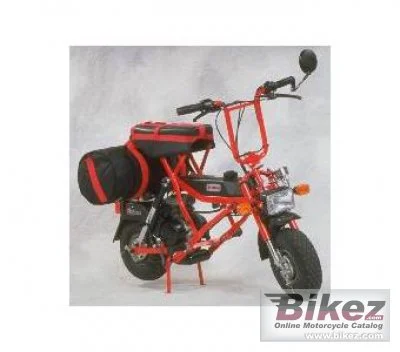 Di Blasi Express 50 2023