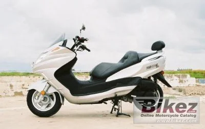 Diamo Turista 300 2011