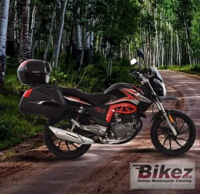 Dinamo Max 3 200 2020