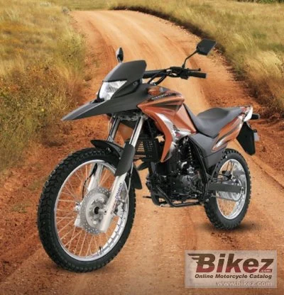 Dinamo Scorpion 250 2020