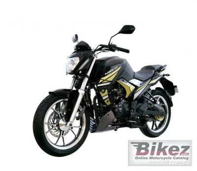 Dinamo Speedfire 200 2020