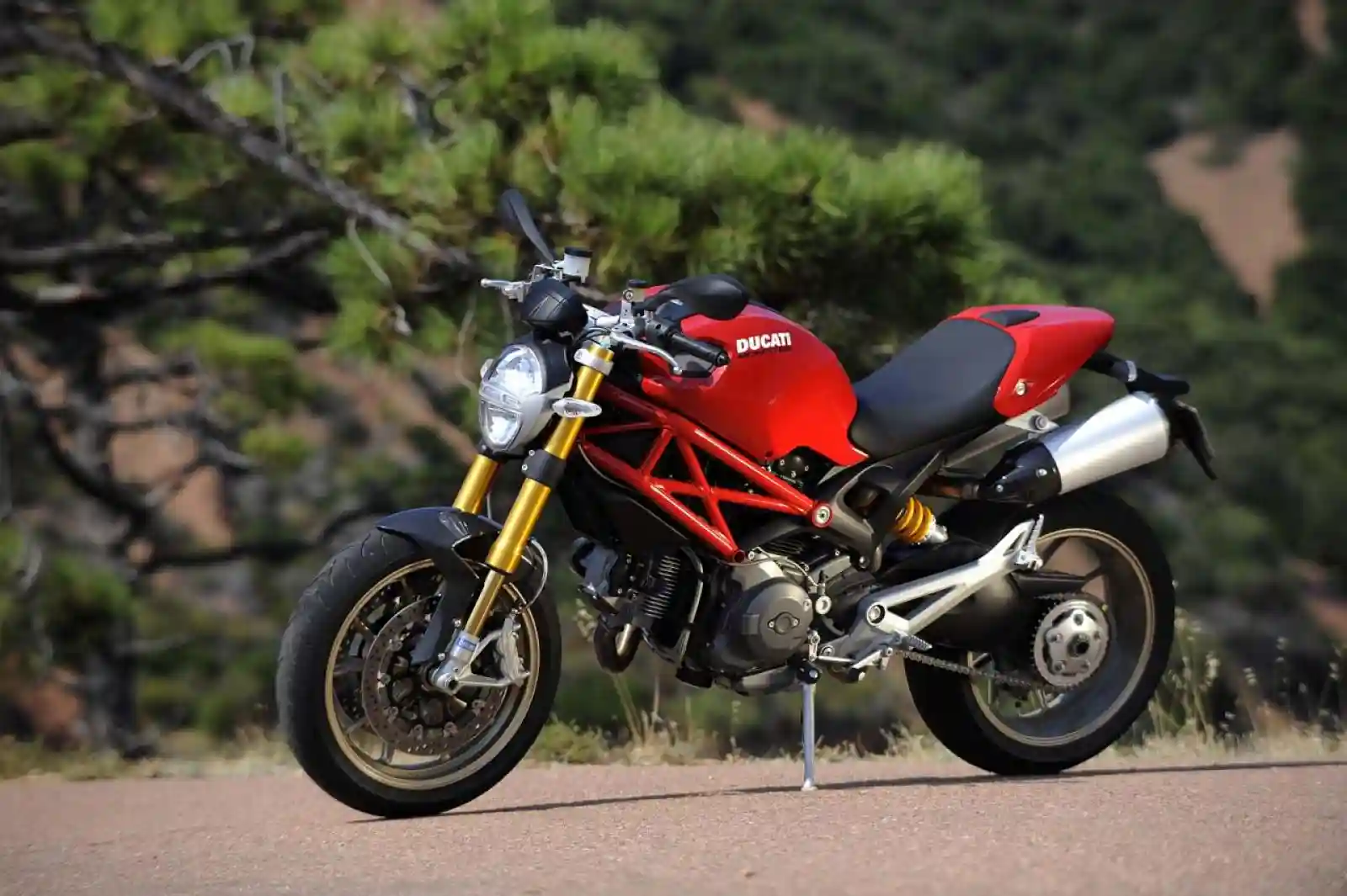 Ducati Monster 1100 2010