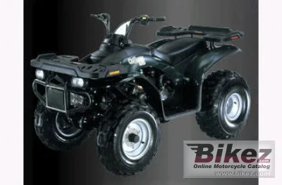 E Ton Challenger 150 CXL 150 2010