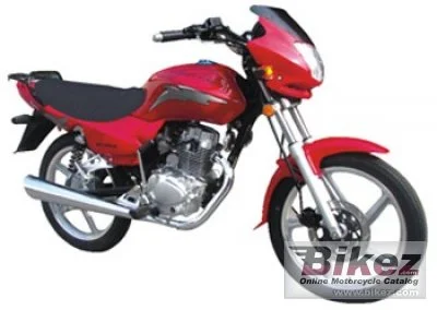 Eagle Wing DB125 Road 2010