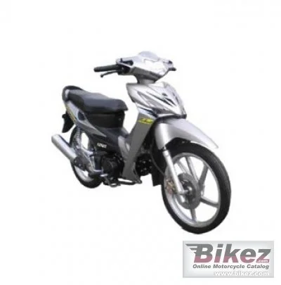 Eagle Wing DB125Z Commuter 2010