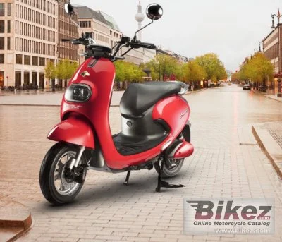Evolet Pony Classic 2020