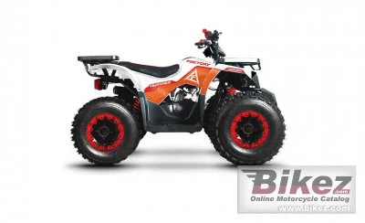 Factory Bike Hummer 150 2022