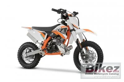 Factory Bike M55 2023