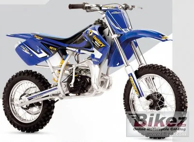 Factory Bike Minidesert RC14 2007