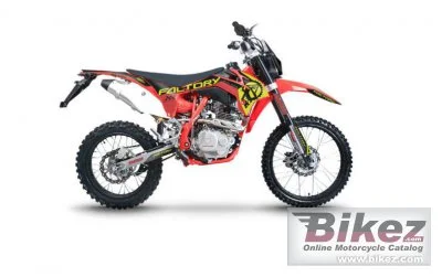 Factory Bike S25 250 2022