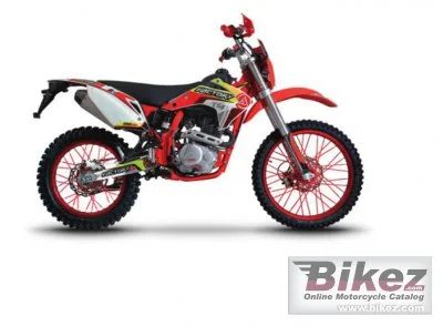 Factory Bike T4 250 2022