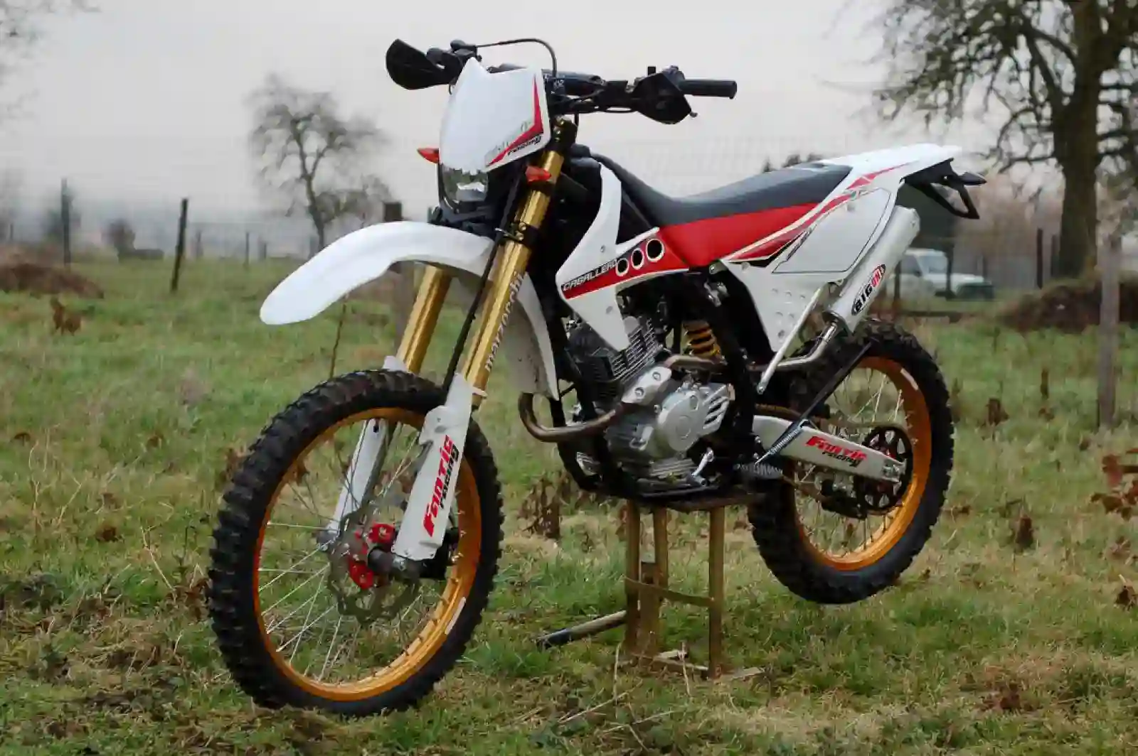 Fantic Caballero Regolarita 200 2009 1