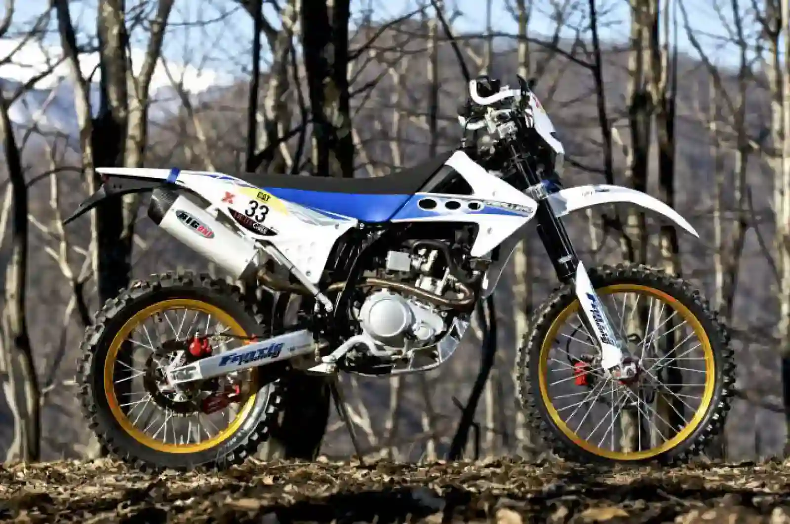 Fantic Caballero Regolarita 200 2009