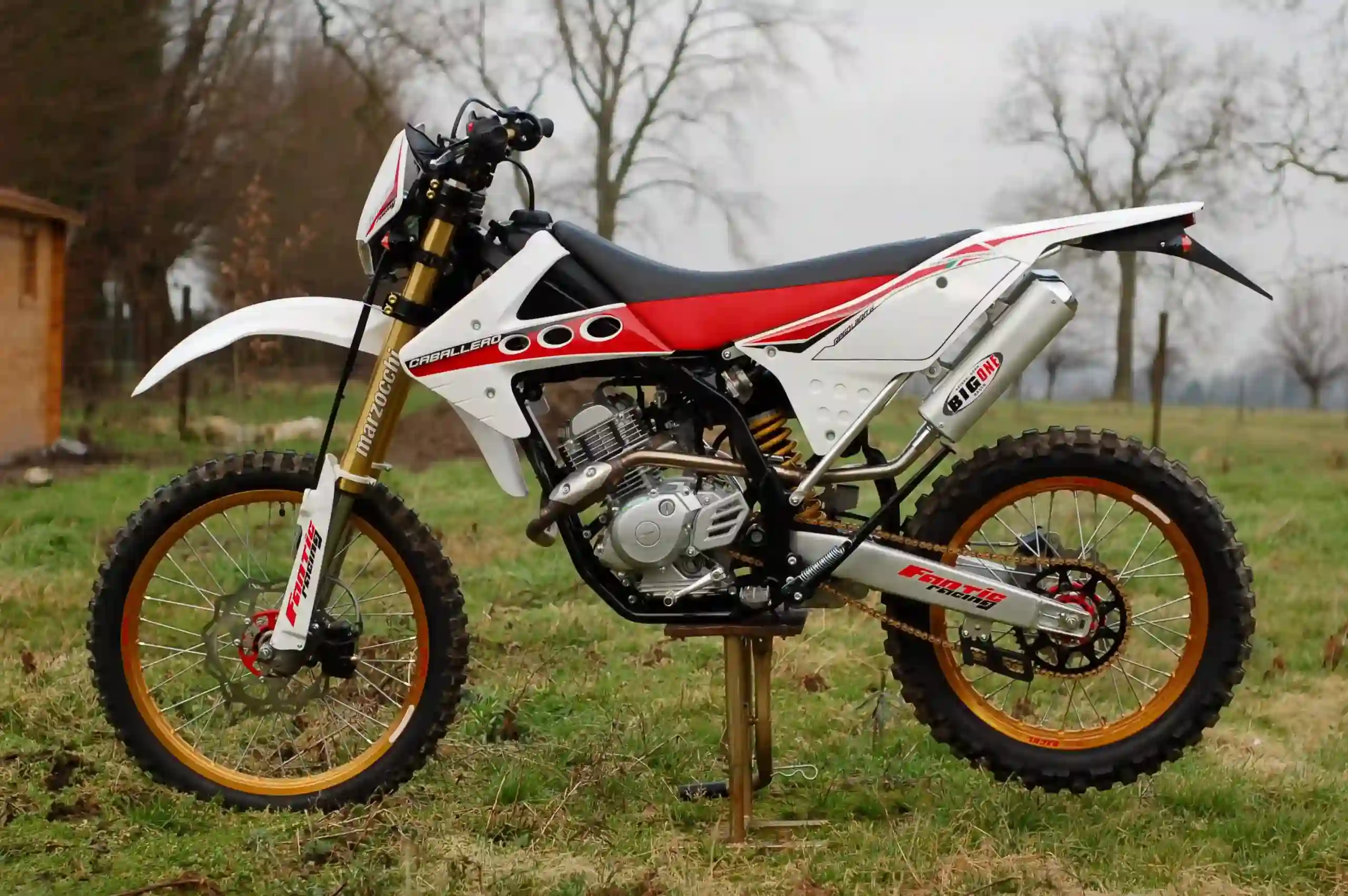 Fantic Caballero Regolarita 50 2009