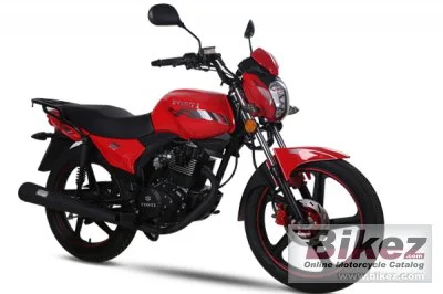 Fosti F21 2020