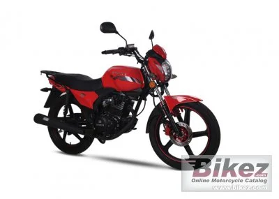 Fosti F21 2021