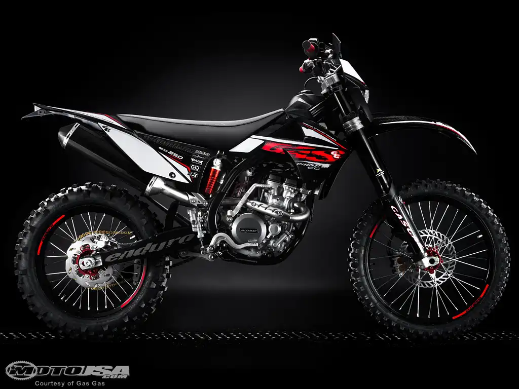 GAS GAS EC 450 4T 2010