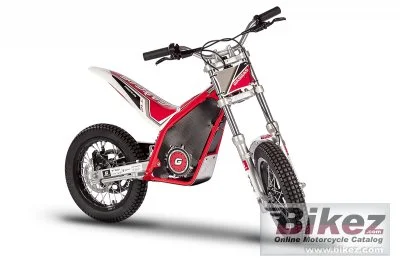 Home 4 GAS GAS T12 2017