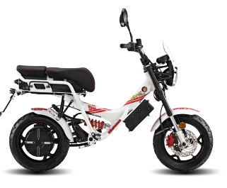 Garelli Ciclone Sic 58 2021