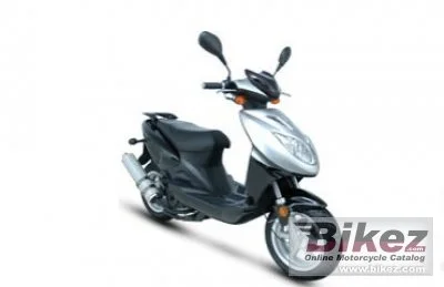 Giantco Filly 50 2009 1