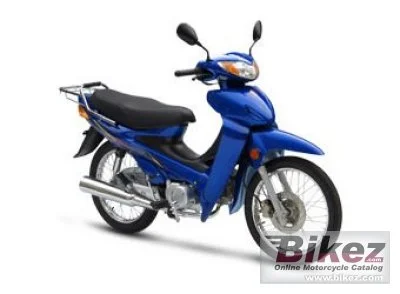 Giantco Raider 110 2013