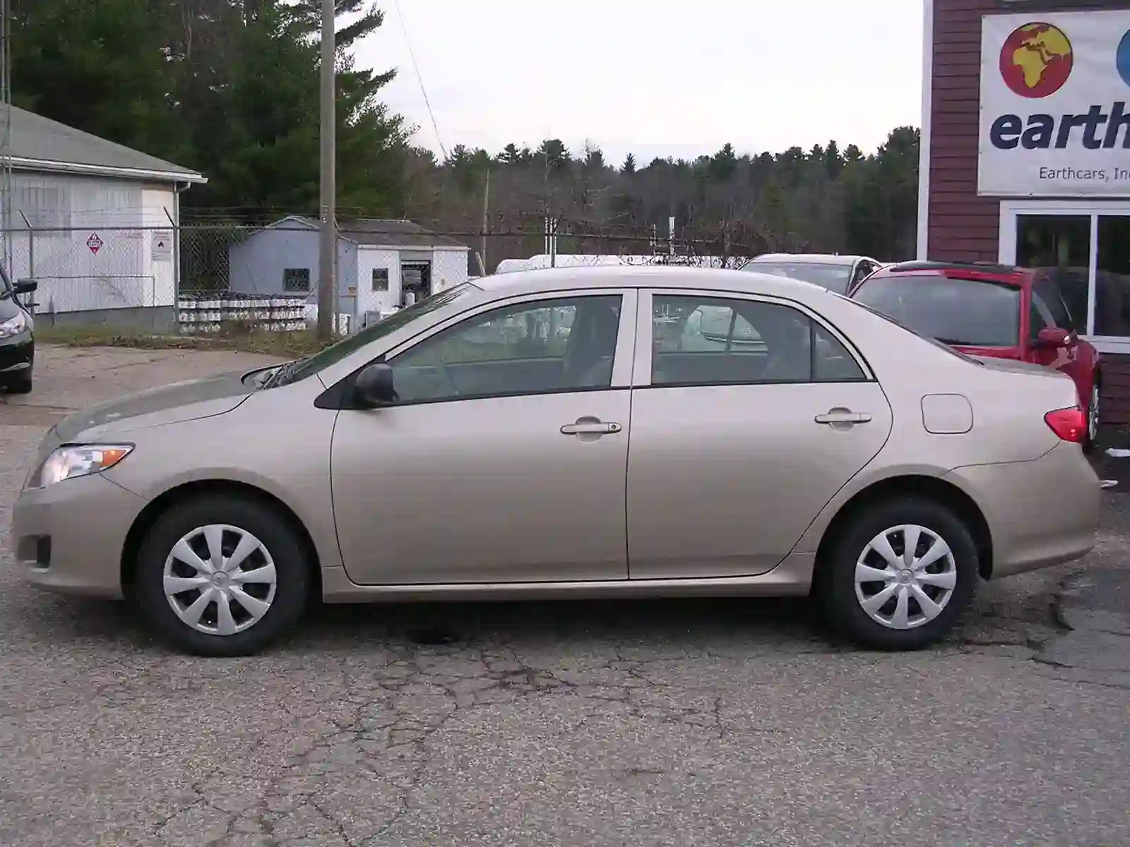 Giantco Venus II Blossom 2009