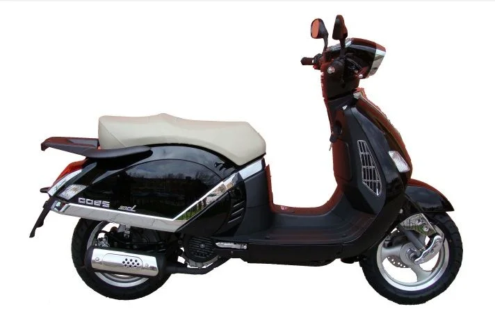 Goes G 125 L City 2009 1