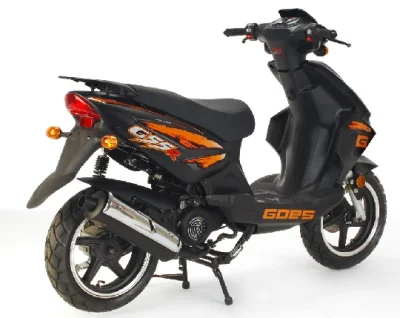 Goes G 55 R Sport 2009