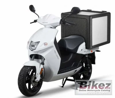 Govecs Pro Cargo 2020