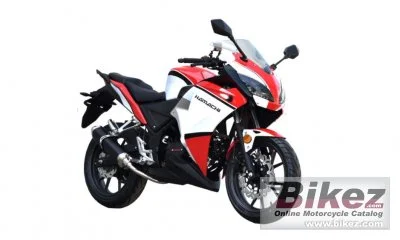 Hamachi 50R 15 2020