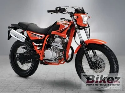 Hamachi Cossack 250 2020