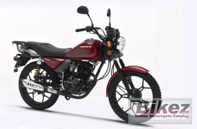 Hamachi KRS 150 2020