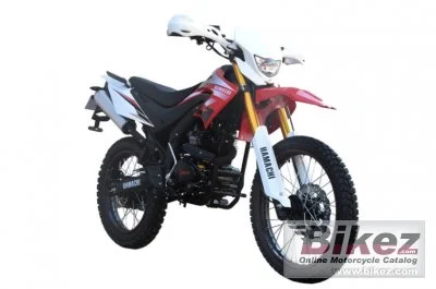 Hamachi YX 250 2020