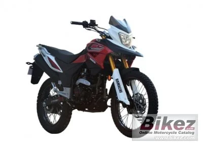 Hamachi YX 300 2020