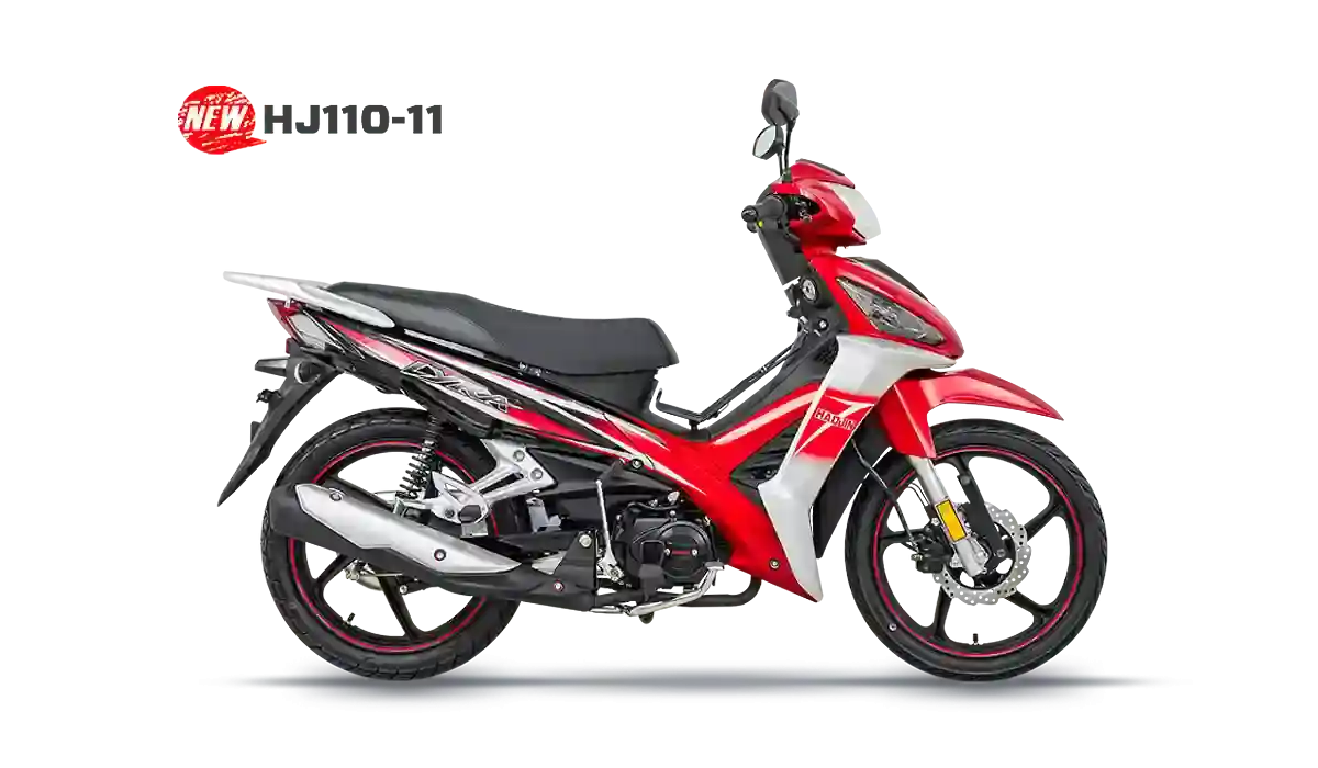 Home 2 Haojin Taurus HJ125 22 2018