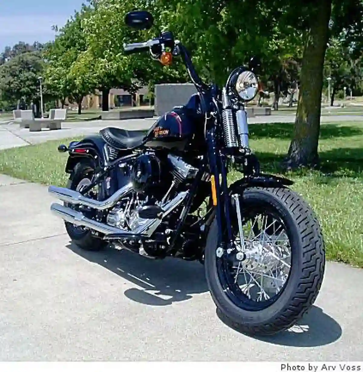 Harley Davidson FLSTSB Softail Cross Bones 2008