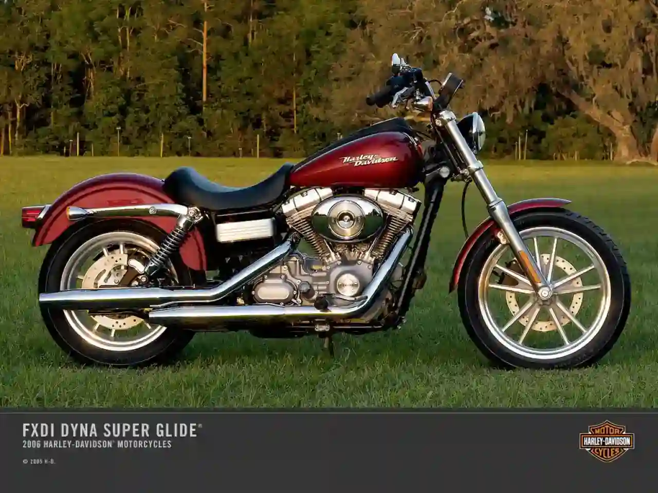 Harley Davidson FXD Dyna Superglide 2007