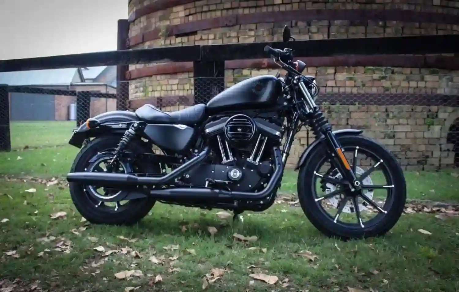Harley Davidson Iron 883 2021