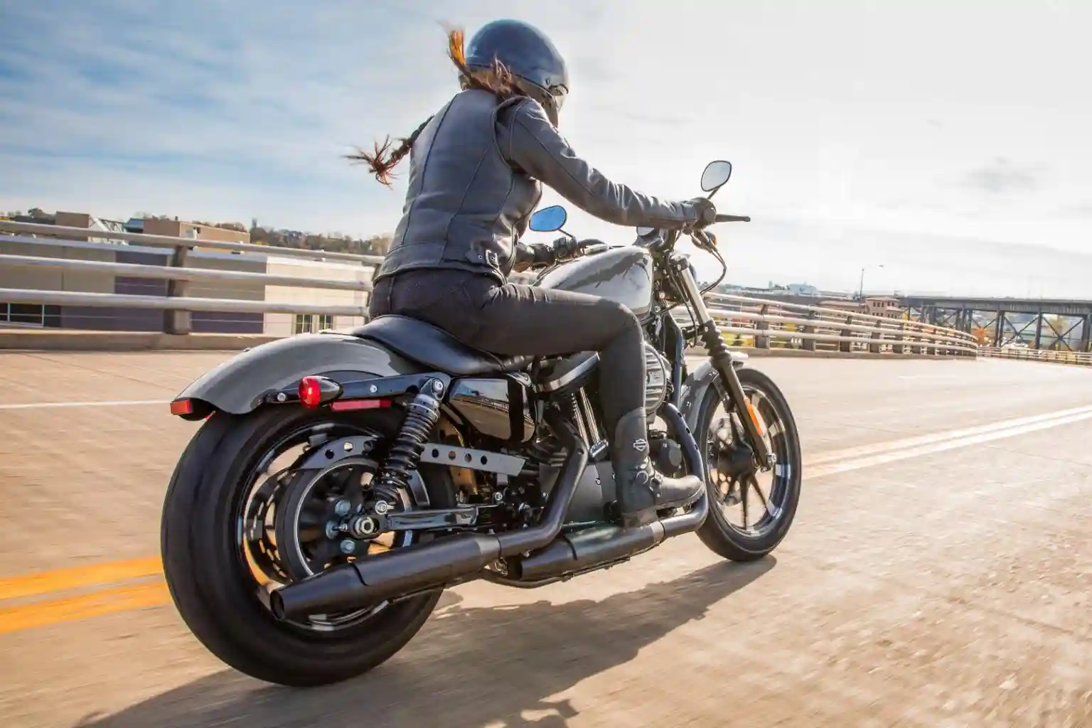 Harley Davidson Iron 883 2022