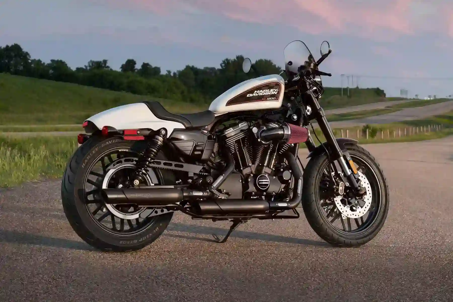 Harley Davidson Sportster Roadster 2019
