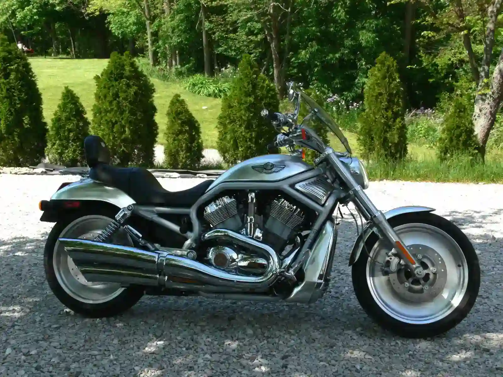 Harley Davidson VRSCA V Rod 2004