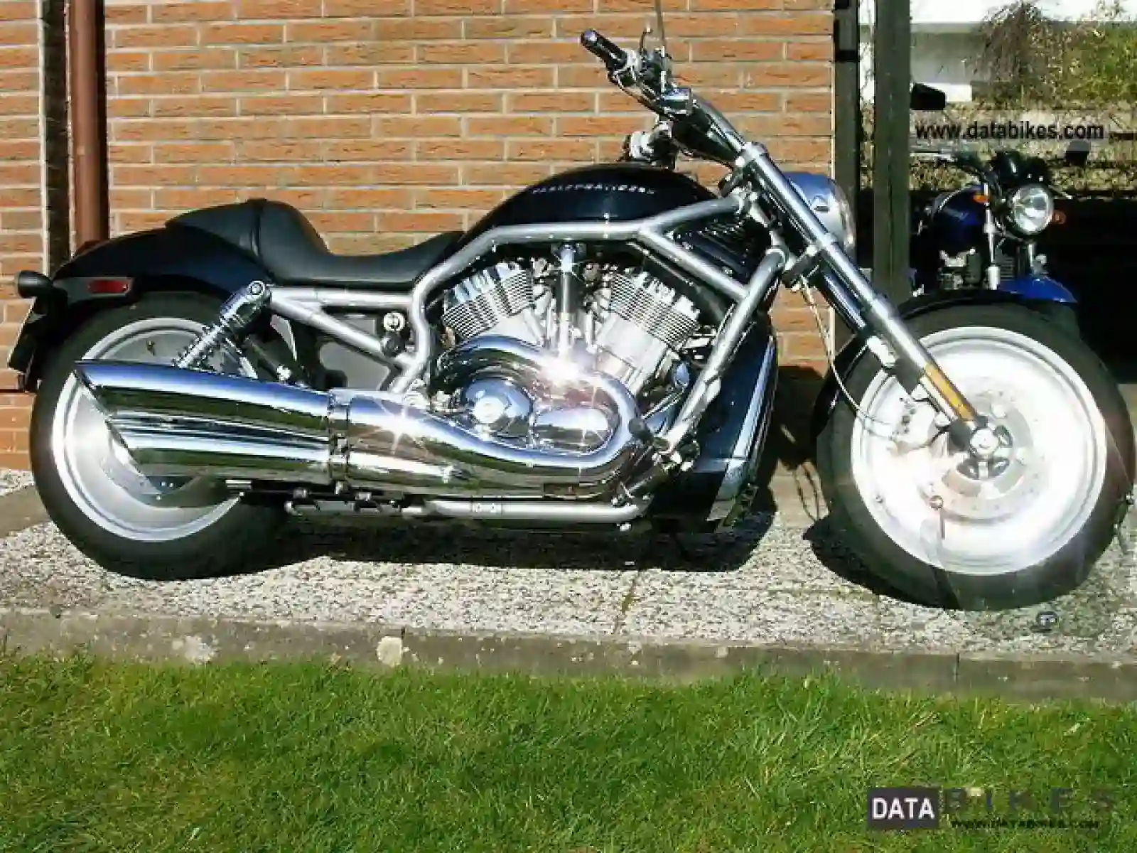 Harley Davidson VRSCB V Rod 2004
