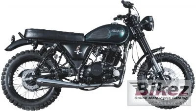 Home 1 Herald Terra Rambler 250 2017